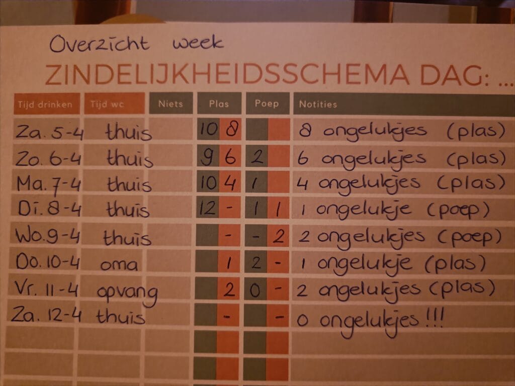 Afbeelding #1 van Eline ten Brinke Damkat