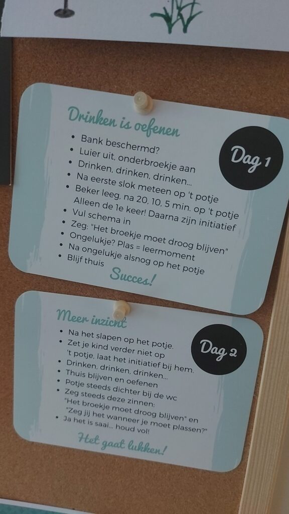 Afbeelding #3 vanWies