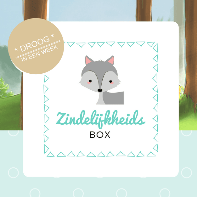 Zindelijkheidsbox voorkant Het Pretpakket Zindelijkheid – alles voor een vrolijke en ontspannen start 3