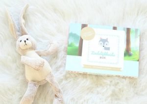 Zindelijkheidsbox