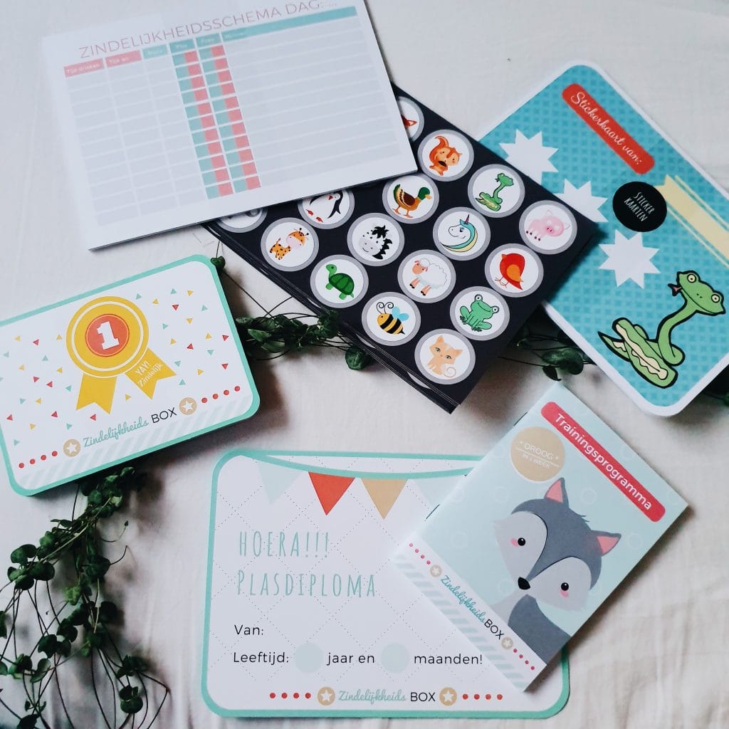 Dagmar gaat doorpakken met zindelijk maken 1