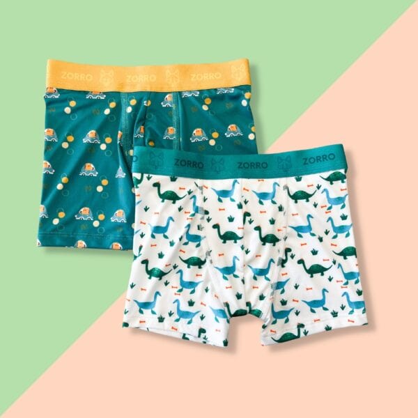 Jongensboxers 2-pack - Ondergoed kind